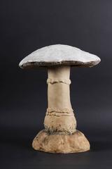 Large 19th Century Mushroom Terracotta Model by Johann Maresch, Bohemia