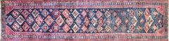 Astonishing Malayer Runner