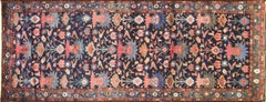Magnificent Bakhtiari Runner