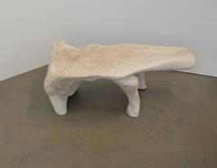 Organic White Wash Coffee Table