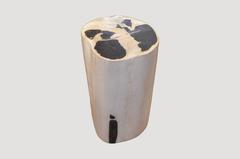 Andrianna Shamaris Petrified Wood Side Table