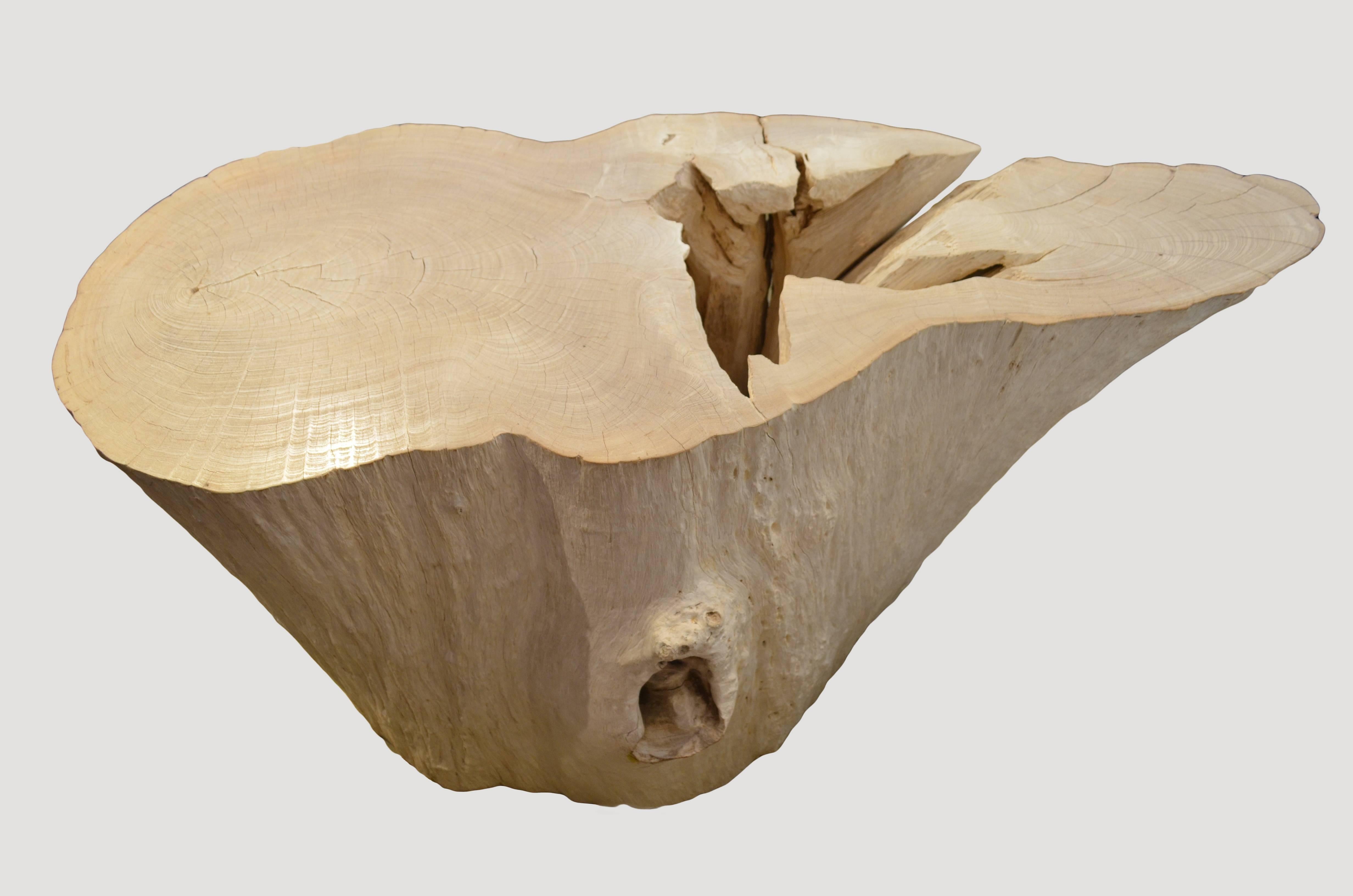 Beautiful erosion teak console or table base carved from a single root. Fabulous shape. Lucite or glass can be added if desired. A light shellack has been added to the top.

The St. Barts Collection features an exciting new line of organic white