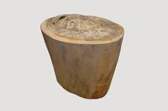 Andrianna Shamaris Petrified Wood Side Table