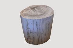 Petrified Wood Side Table