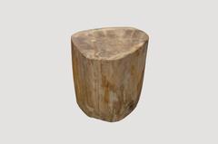 Petrified Wood Side Table