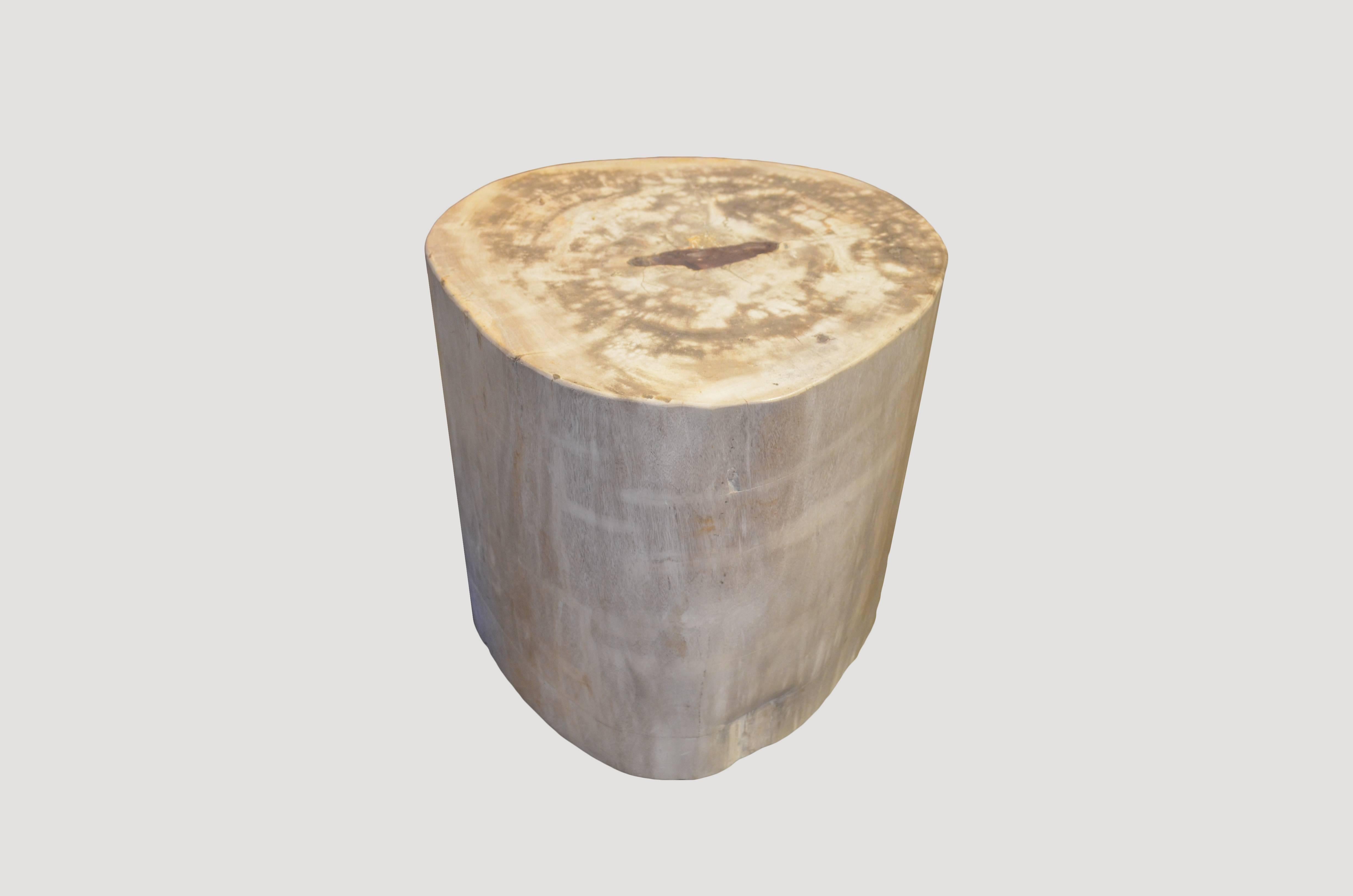We source the highest quality petrified wood available. Each piece is hand-selected and highly polished with minimal cracks. Petrified wood is extremely versatile – even great inside a bathroom shower. Perfect as a cocktail table, side table or