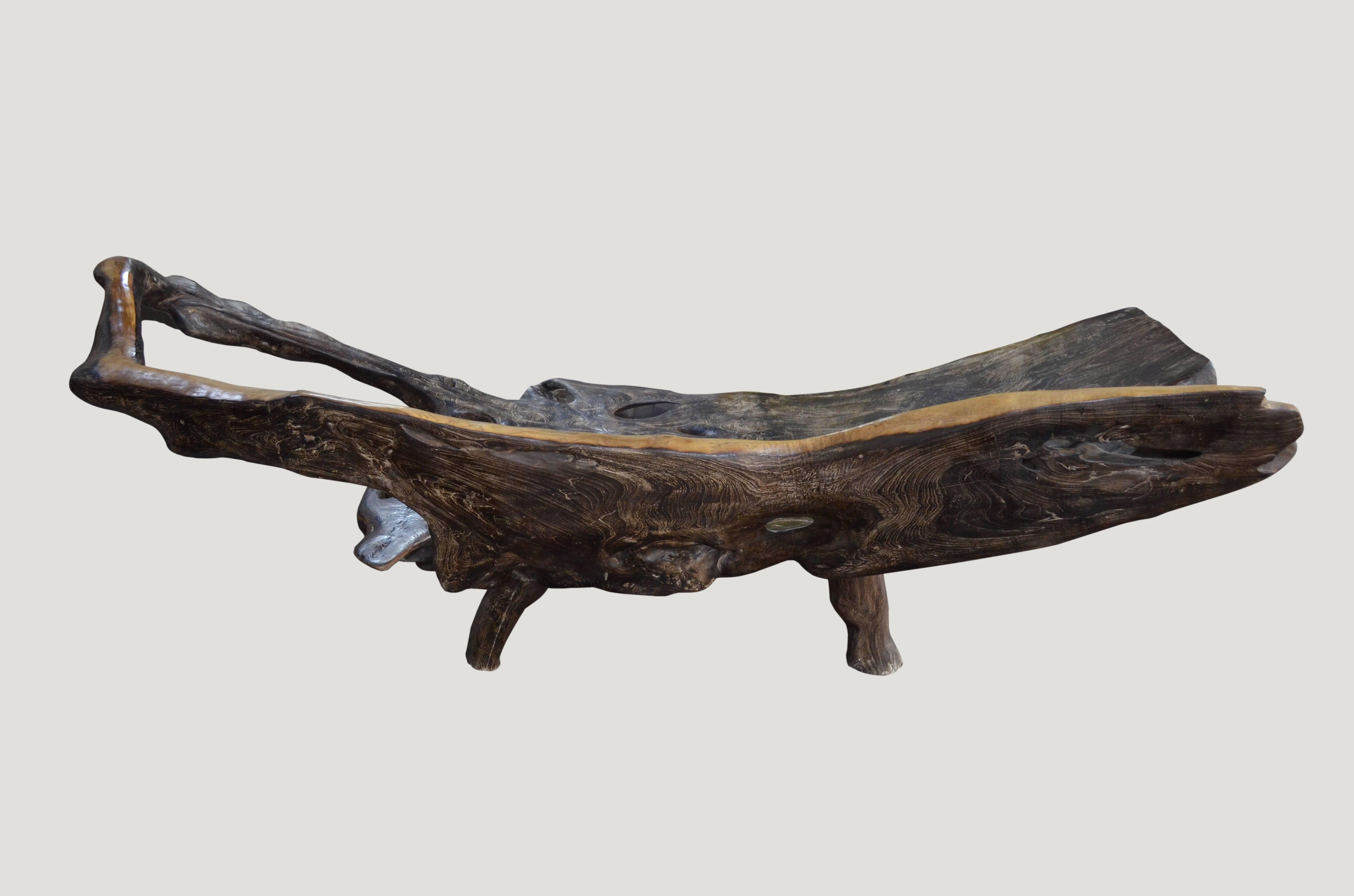 Organic shaped reclaimed teak wood bench or chaise carved from a single root found in the jungle in Sumatra. We added the legs, burnt it one time and finally added a cerused finish. The sides are left natural teak and polished in contrast. Organic