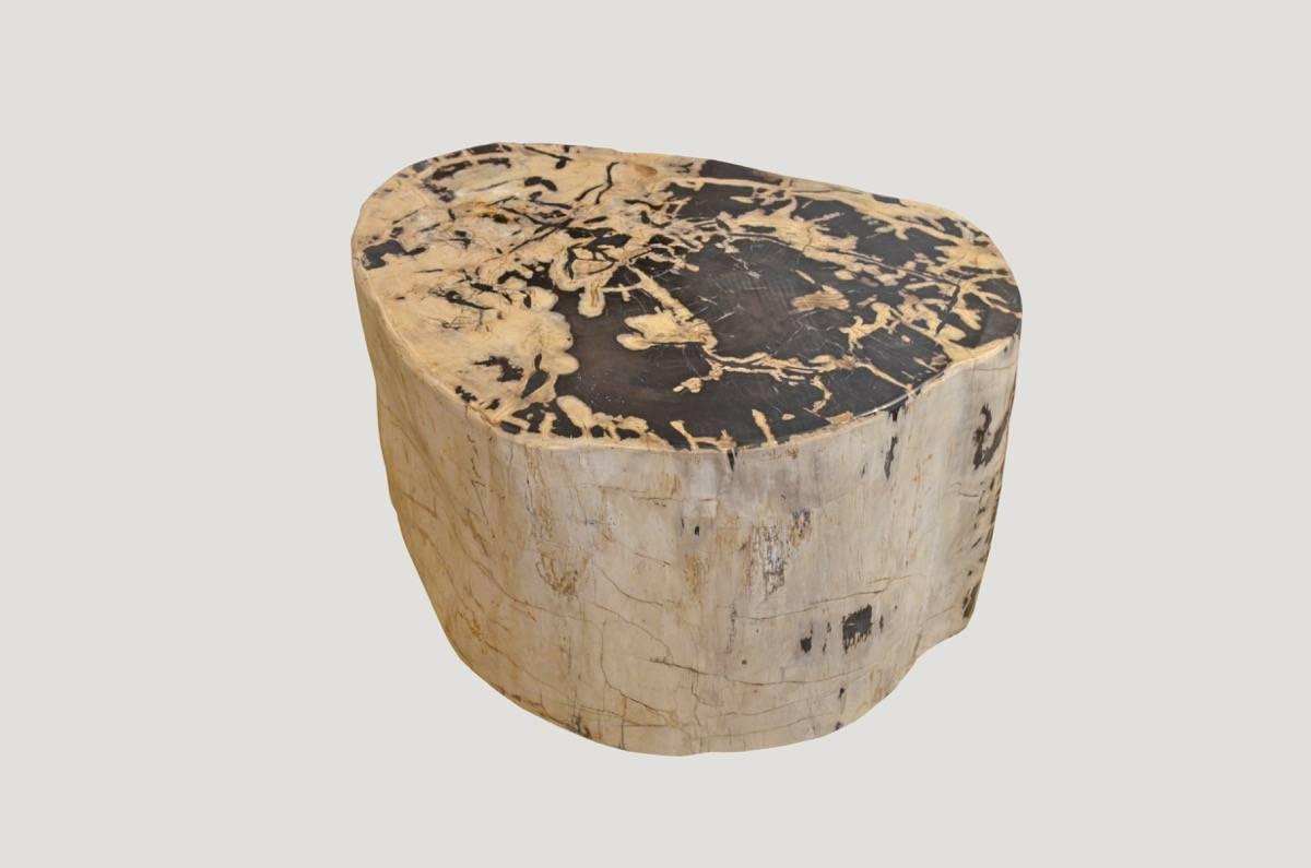 High quality petrified wood cocktail table or coffee table. This petrified wood piece is in excellent condition which is rare due to the size. The stunning charcoal grey, black and bone tones paired with the scale make this an impressive piece for