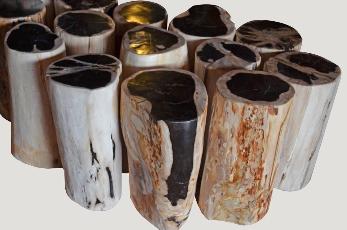 We source the highest quality petrified wood available. Each piece is hand selected and highly polished with minimal cracks. Petrified wood is extremely versatile – even great inside a bathroom shower. Perfect as a cocktail table, side table or