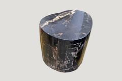 Andrianna Shamaris Petrified Wood Side Table