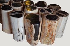 Petrified Wood Side Table