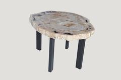 Andrianna Shamaris Petrified Wood Slab Table