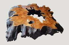 Andrianna Shamaris Single Root Teak Wood Coffee Table