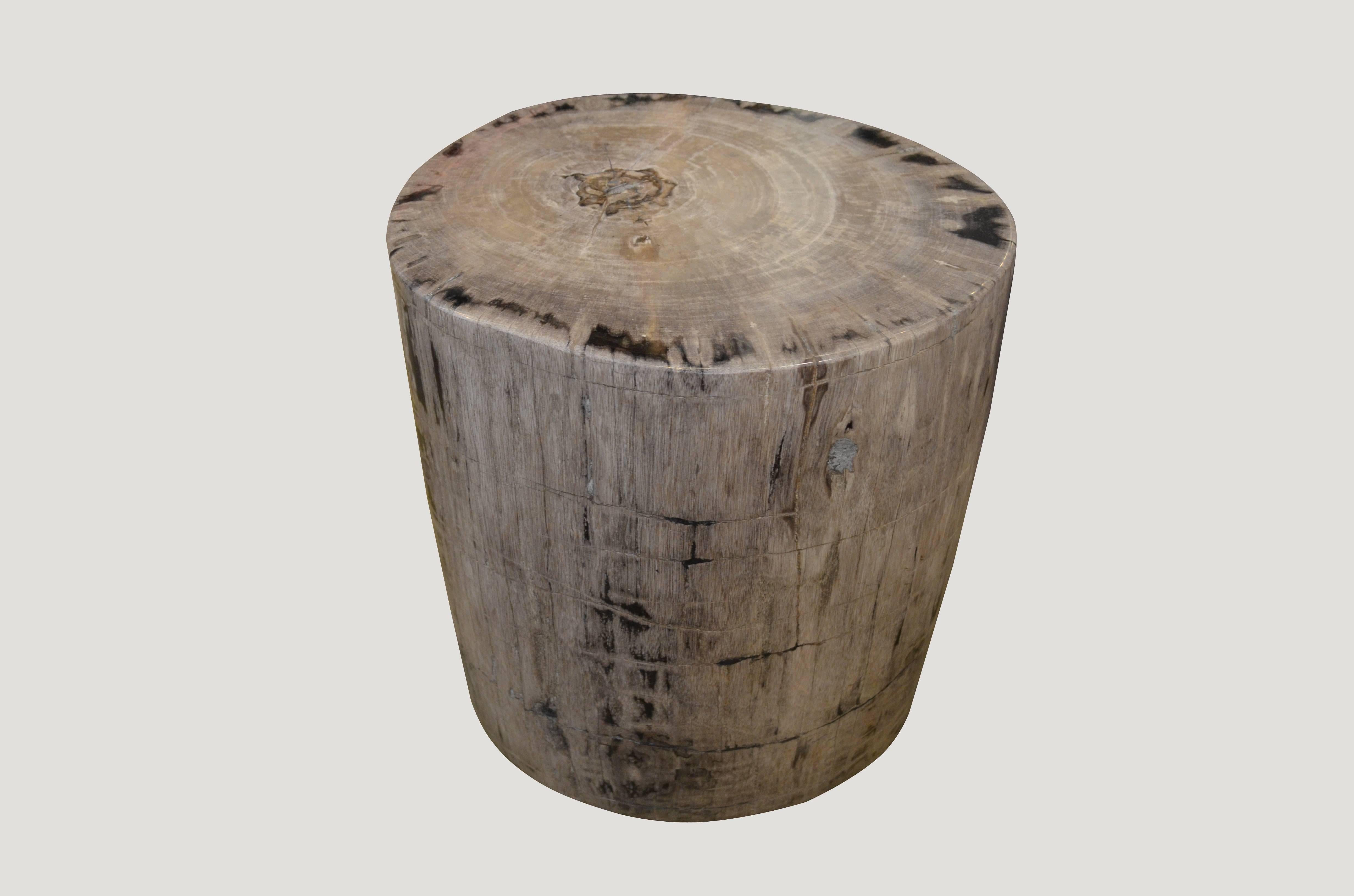Rare, grey toned checkered petrified wood side table or stool.

We source the highest quality petrified wood available. Each piece is hand selected and highly polished with minimal cracks. Petrified wood is extremely versatile, even great inside a