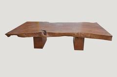 Andrianna Shamaris Live Edge Coffee Table