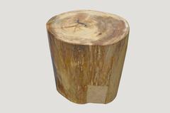 Andrianna Shamaris Petrified Wood Side Table