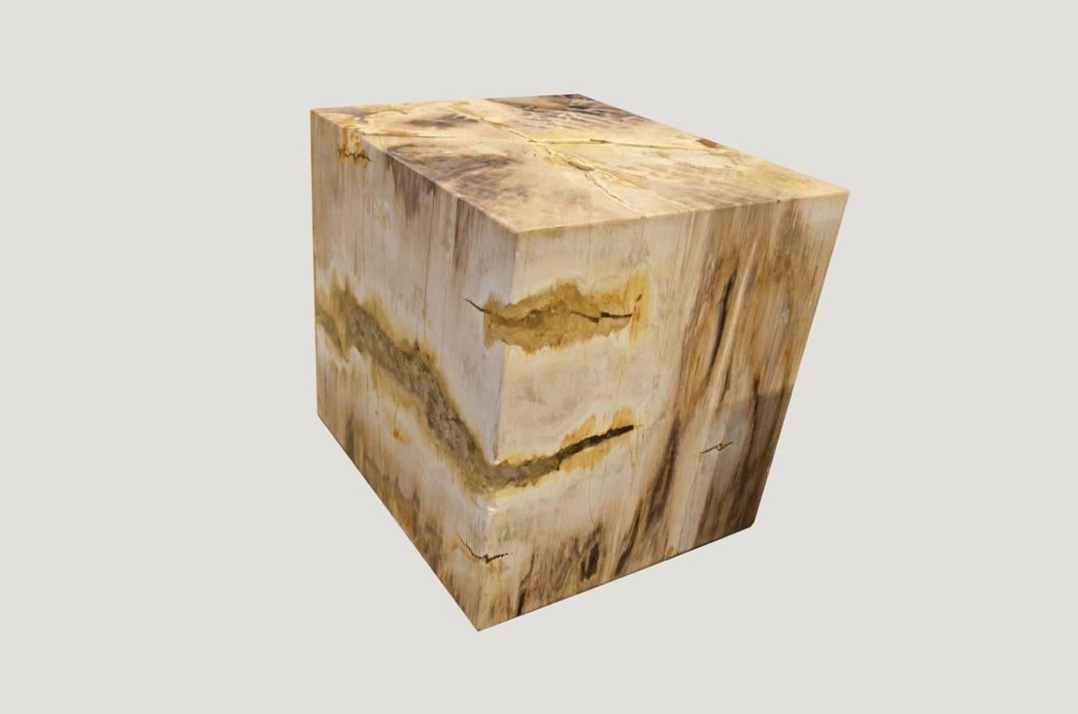 Organic Modern Andrianna Shamaris Petrified Wood Side Table with Cracked Resin