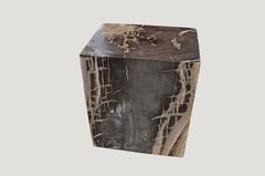 Tavolino in Wood pietrificato Andrianna Shamaris