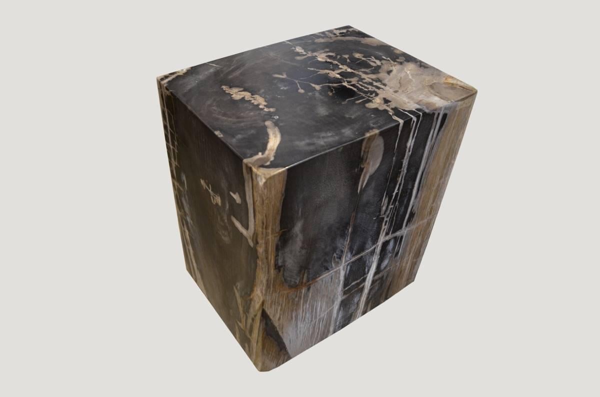 Organic Modern Andrianna Shamaris Petrified Wood Side Table For Sale