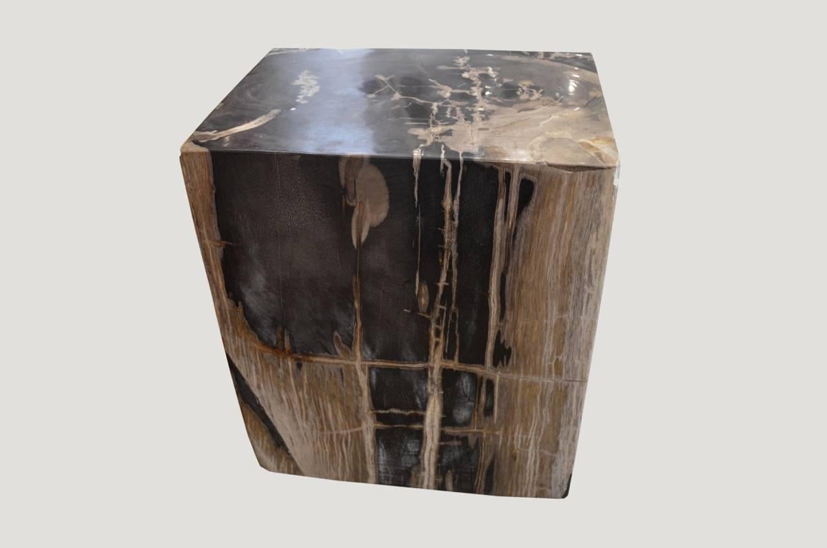 18th Century and Earlier Andrianna Shamaris Petrified Wood Side Table For Sale
