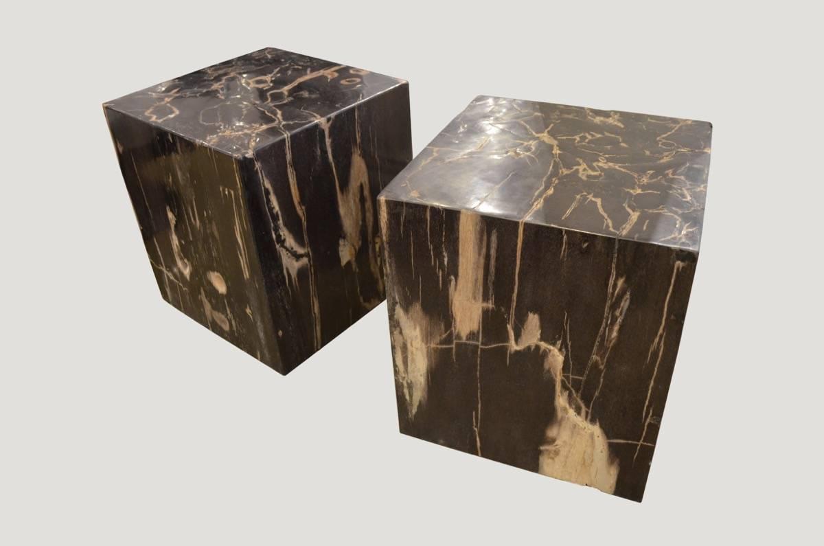 Andrianna Shamaris Petrified Wood Side Table In Excellent Condition In New York, NY