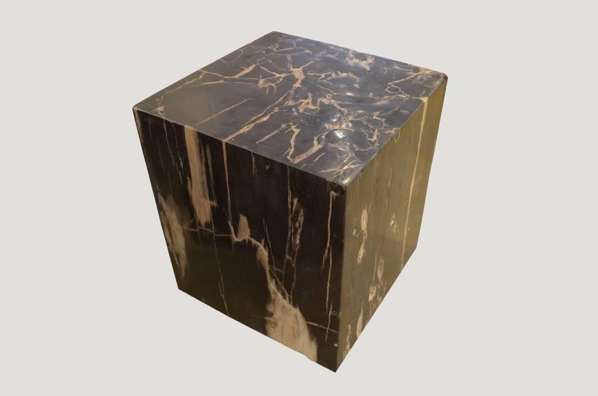High quality petrified wood carved into a stunning square.

We source the highest quality petrified wood available. Each piece is hand selected and highly polished with minimal cracks. Petrified wood is extremely versatile, even great inside a