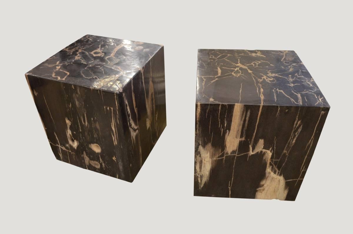 Andrianna Shamaris Petrified Wood Side Table In Excellent Condition In New York, NY