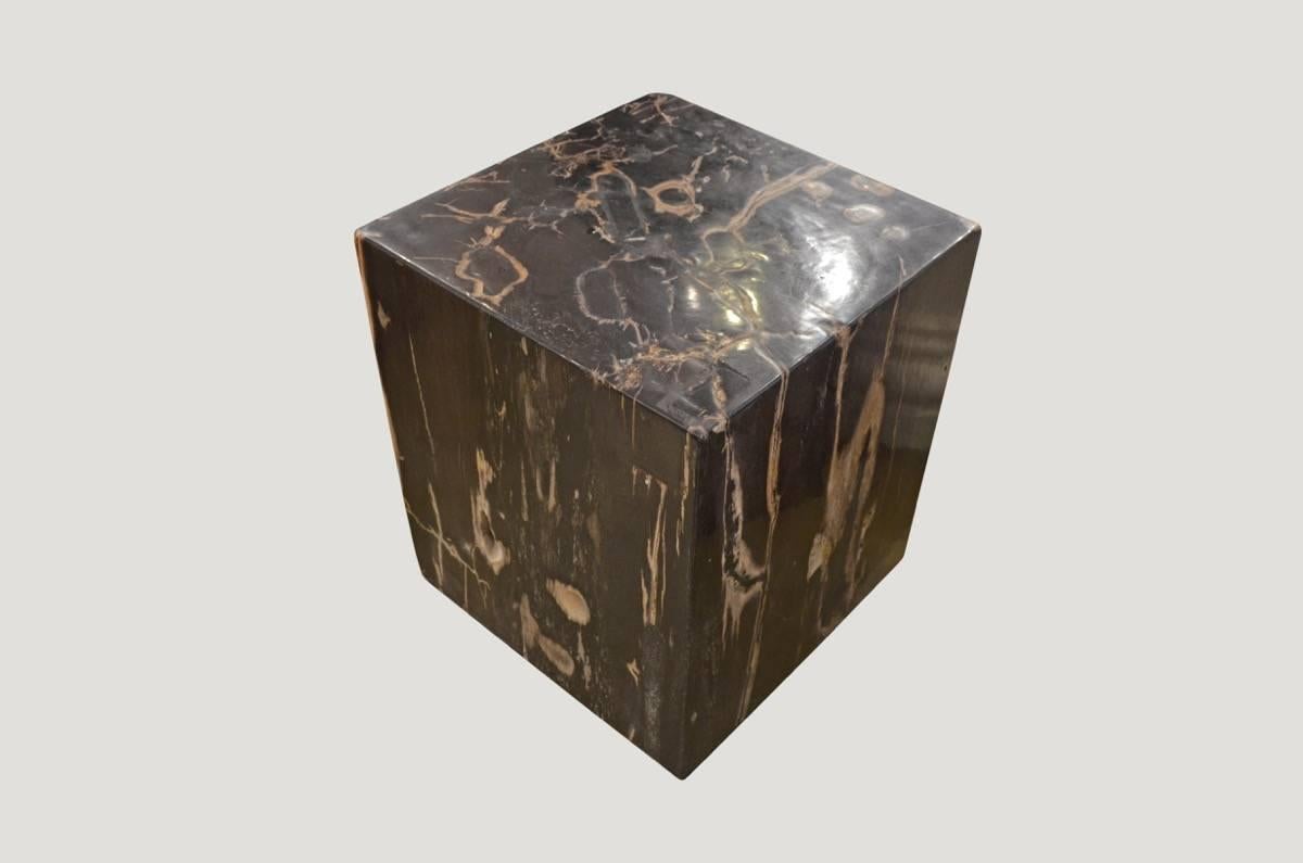 High quality petrified wood carved into a stunning square.

We source the highest quality petrified wood available. Each piece is hand selected and highly polished with minimal cracks. Petrified wood is extremely versatile, even great inside a