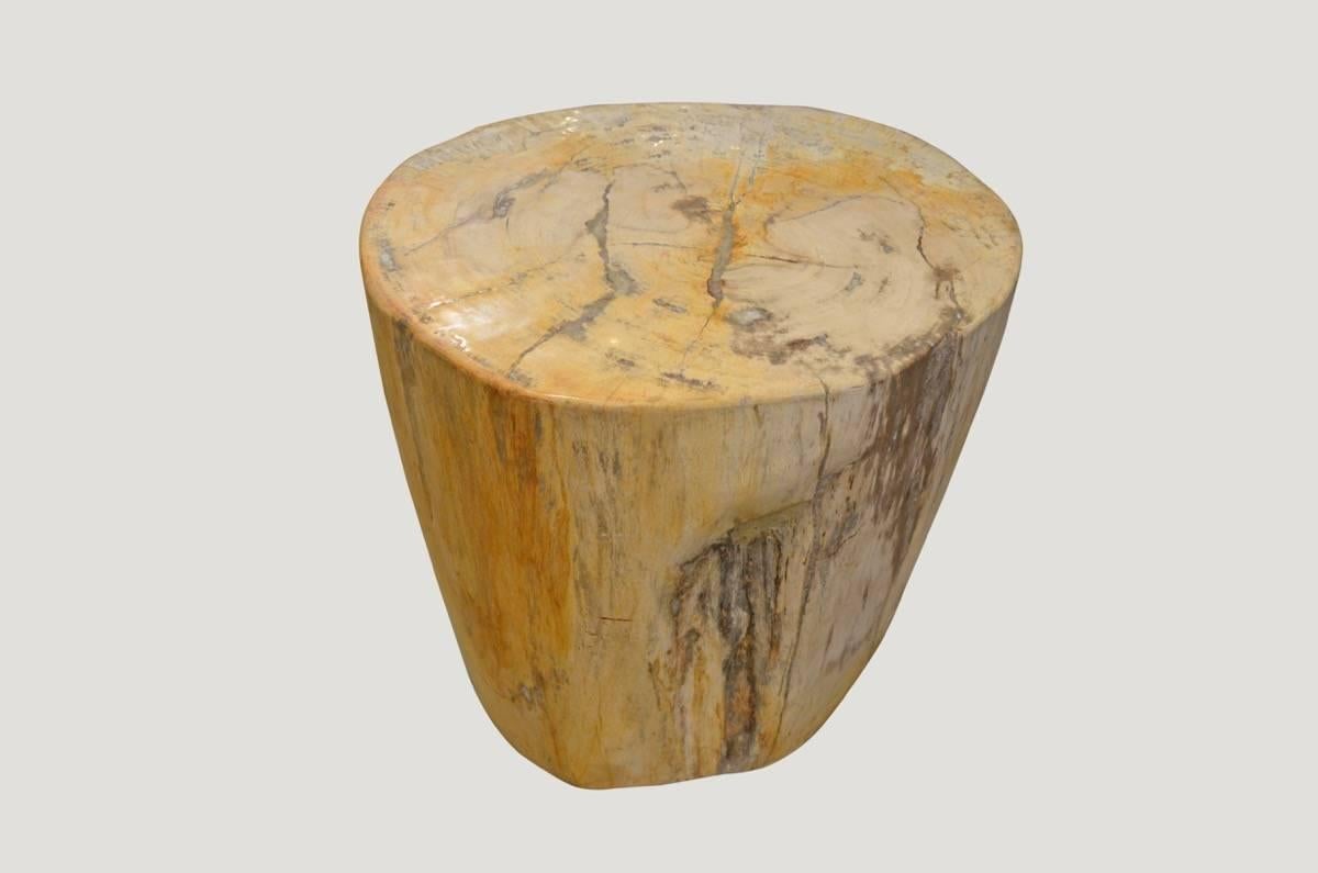 We source the highest quality petrified wood available. Each piece is hand selected and highly polished with minimal cracks. Petrified wood is extremely versatile, even great inside a bathroom shower. Perfect as a cocktail table, side table or