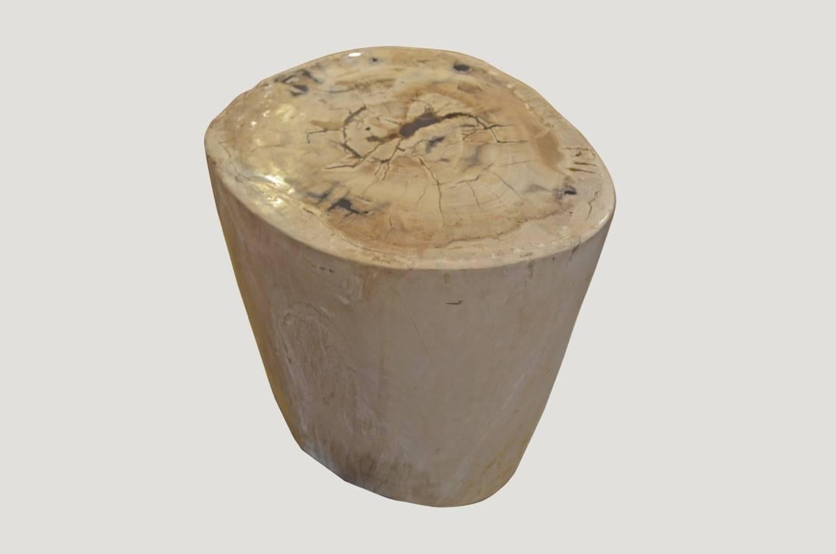 Organic Modern Andrianna Shamaris Petrified Wood Side Table with Cracked Resin