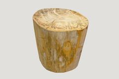 Petrified Wood Side Table