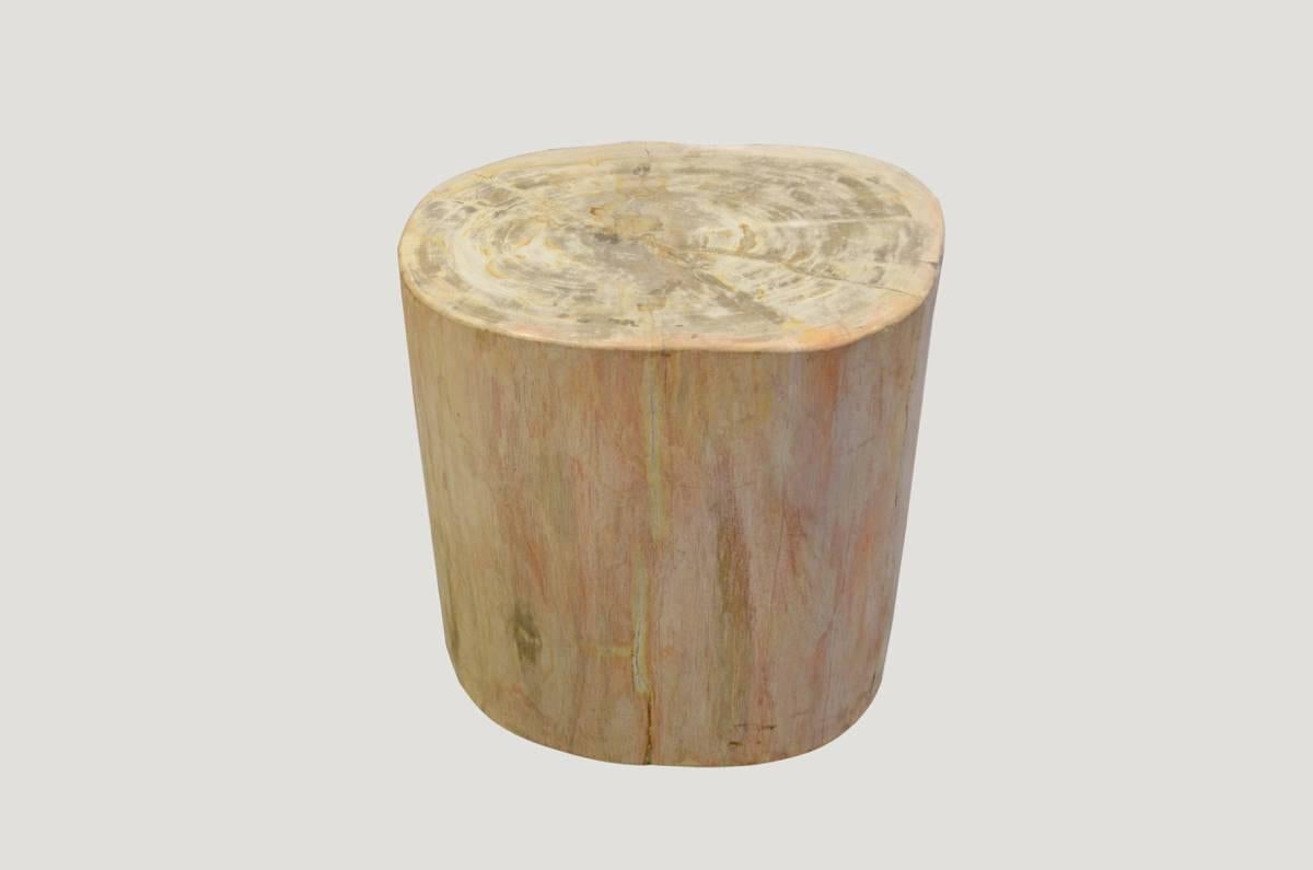We source the highest quality petrified wood available. Each piece is hand selected and highly polished with minimal cracks. Petrified wood is extremely versatile, even great inside a bathroom shower. Perfect as a cocktail table, side table or