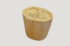 Petrified Wood Side Table