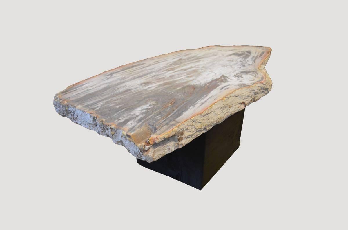 Andrianna Shamaris Single Slab Petrified Wood Coffee Table In Excellent Condition In New York, NY