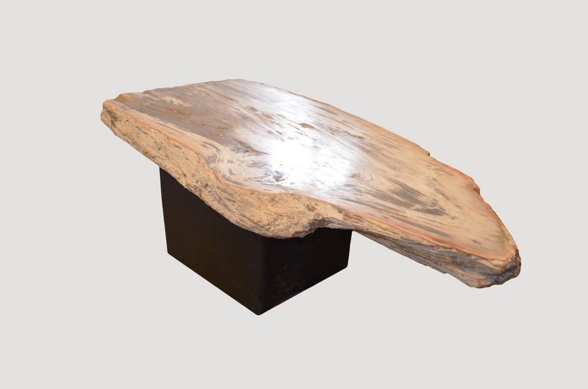 Organic Modern Andrianna Shamaris Single Slab Petrified Wood Coffee Table