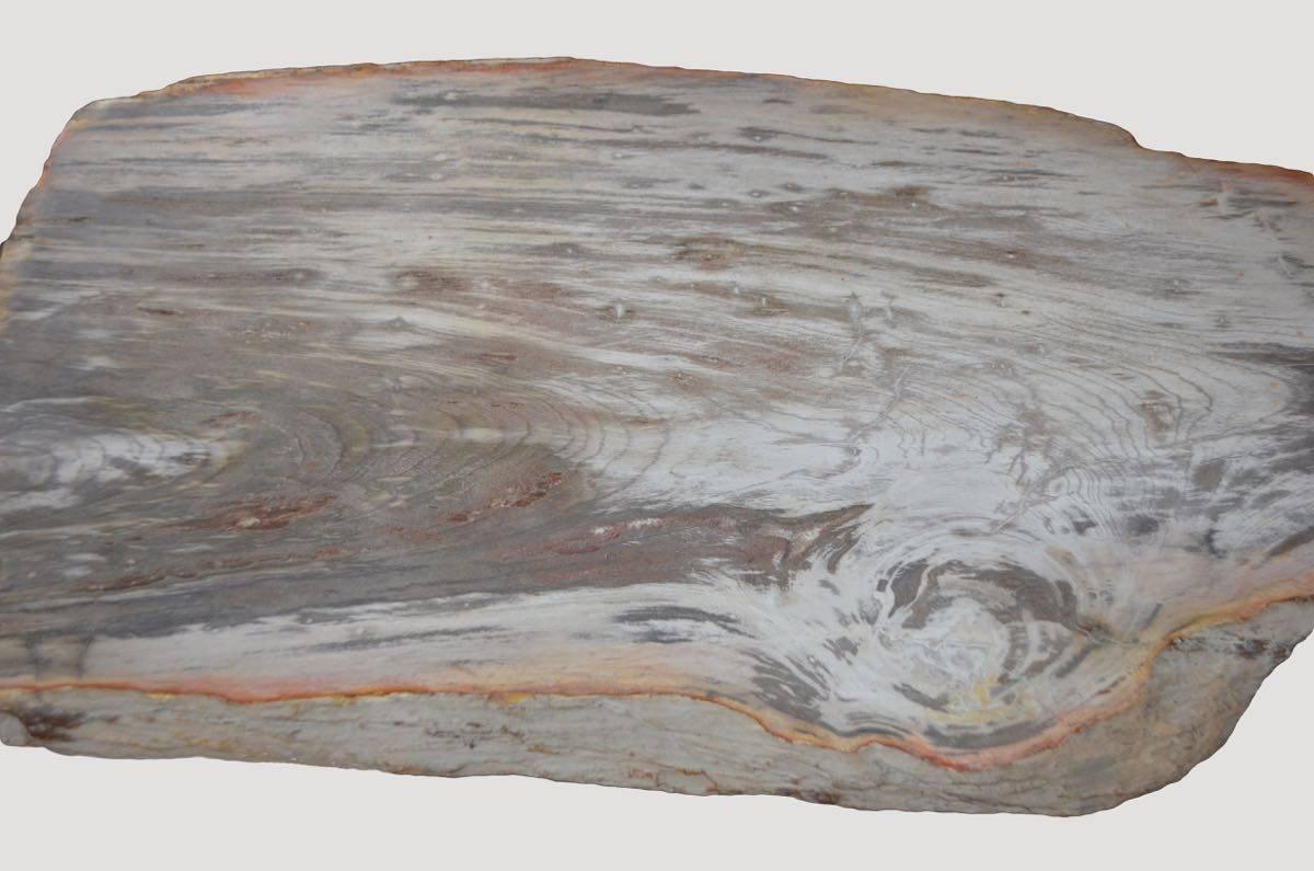18th Century and Earlier Andrianna Shamaris Single Slab Petrified Wood Coffee Table