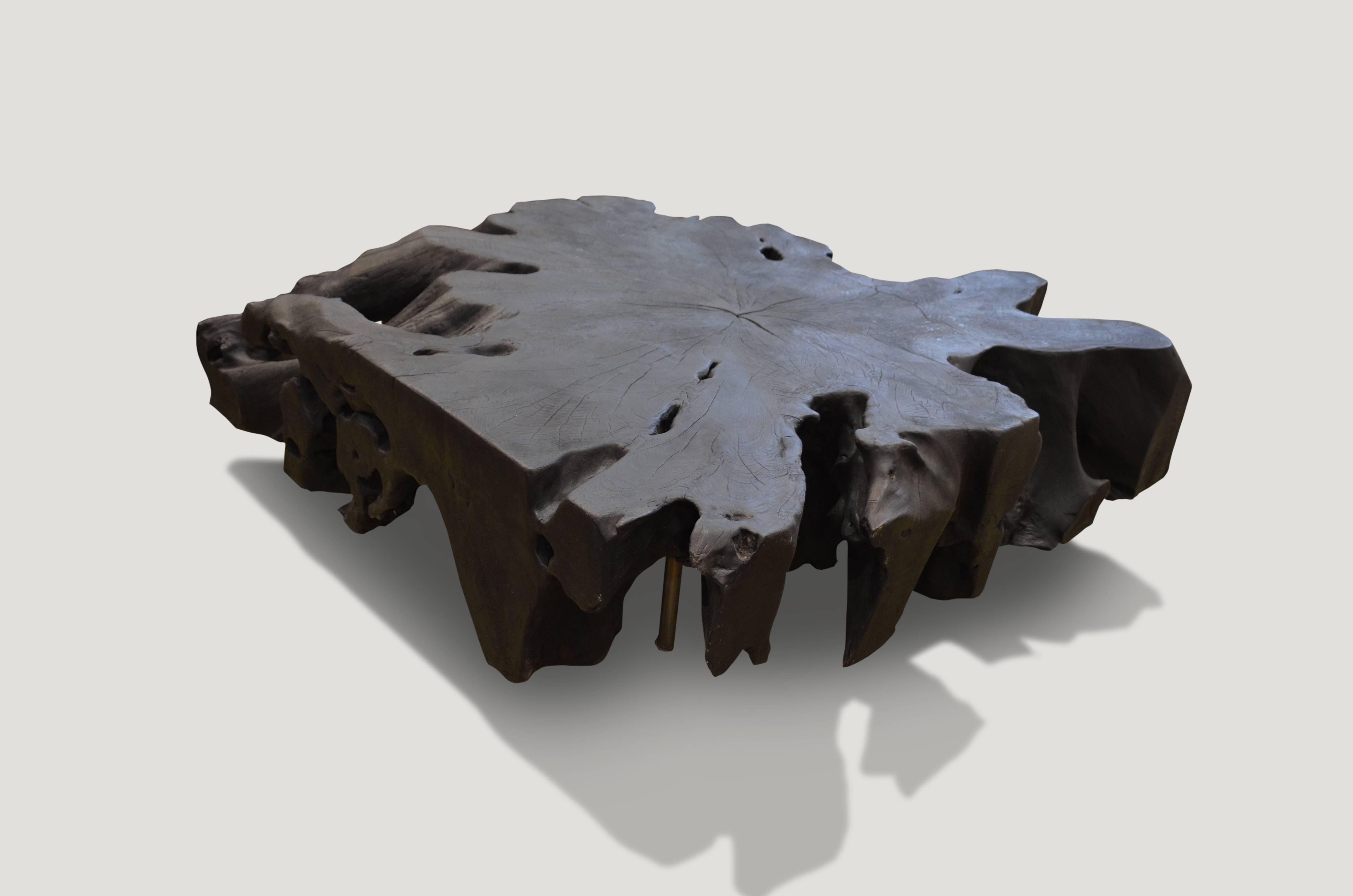 Organic shaped reclaimed teak root coffee table. Burnt, sanded and sealed with a smooth finish. Impressive 9” top floats on 6” steel legs.

The Triple Burnt Collection represents a unique line of modern furniture made from solid organic wood. Burnt