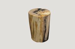 Andrianna Shamaris Super Smooth Petrified Wood Side Table