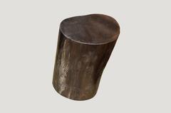 Andrianna Shamaris Super Smooth Petrified Wood Side Table