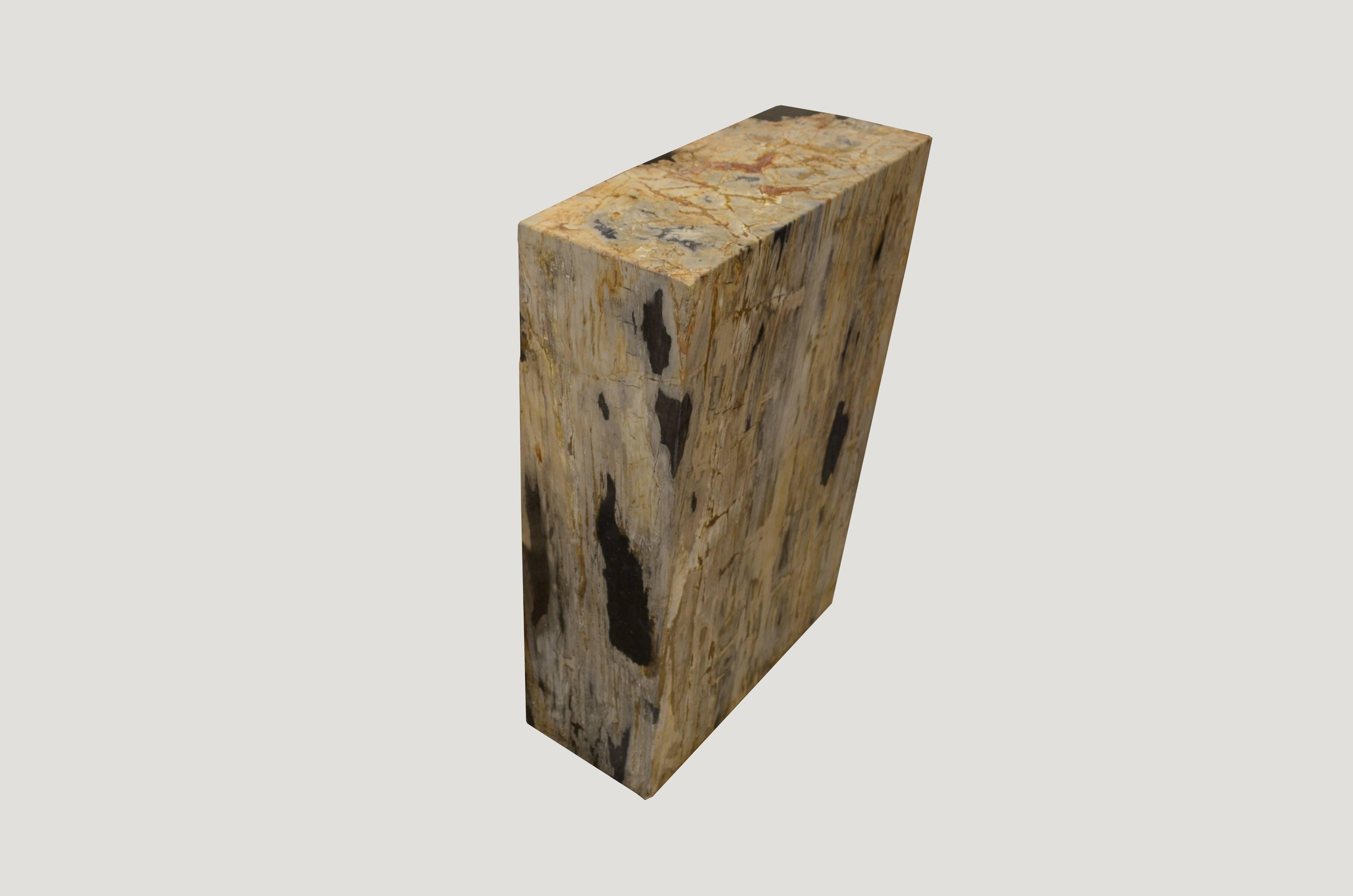 petrified wood slabs