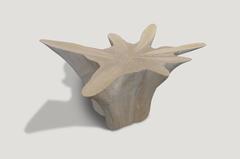 Star Shaped Teak Wood Coffee Table