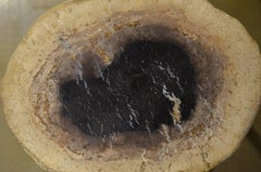 Andrianna Shamaris Palm Petrified Wood Side Table