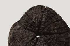 Triple Burnt Erosion Teak Wood Sculpture