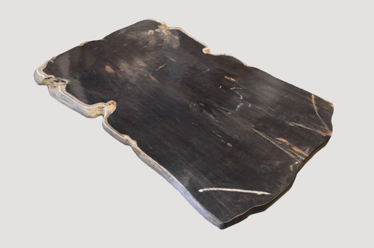 Andrianna Shamaris Petrified Wood Coffee Table In Excellent Condition In New York, NY