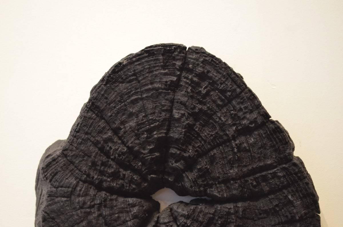Erosion organische Teakholz-Skulpturen schwarz gebrannt. Großartig als Kunstinstallation in Sets von drei oder mehr. Bitte sehen Sie sich das letzte Bild einer von uns installierten Kollektion im 1 Hotel South Beach, Miami, an.

Die Triple Burnt