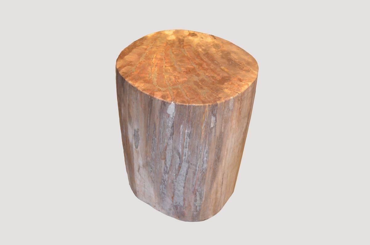 We source the highest quality petrified wood available. Each piece is hand-selected and highly polished with minimal cracks. Petrified wood is extremely versatile – even great inside a bathroom shower. Perfect as a cocktail table, side table or