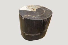 Petrified Wood Side Table