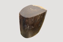 Andrianna Shamaris Petrified Wood Side Table