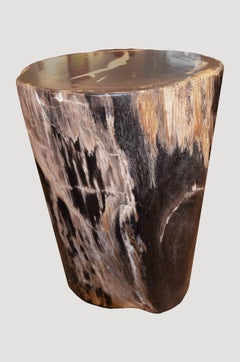 Andrianna Shamaris Petrified Wood Side Table