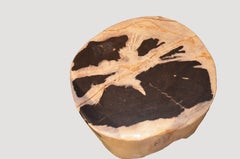 Andrianna Shamaris Petrified Wood Side Table